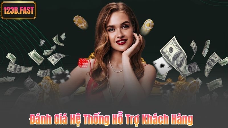 Đánh Giá Hệ Thống Hỗ Trợ Khách Hàng