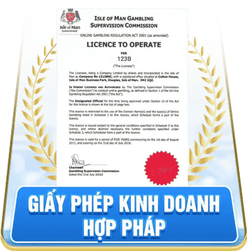 giấy phép chứng nhận 123b 1