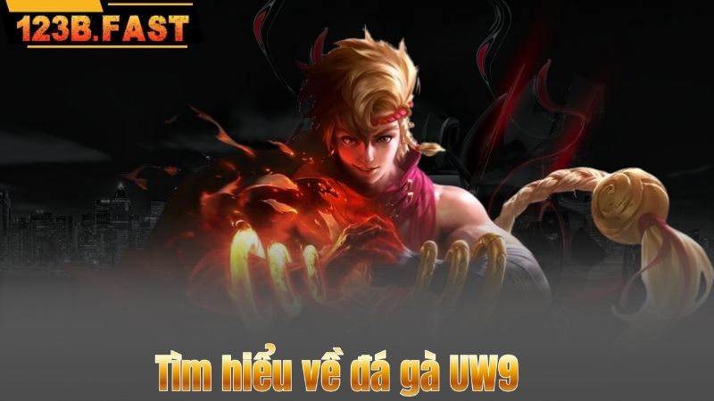Tìm hiểu về đá gà UW9